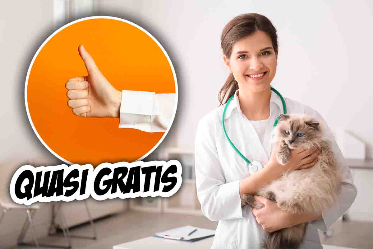 Veterinario quasi gratis